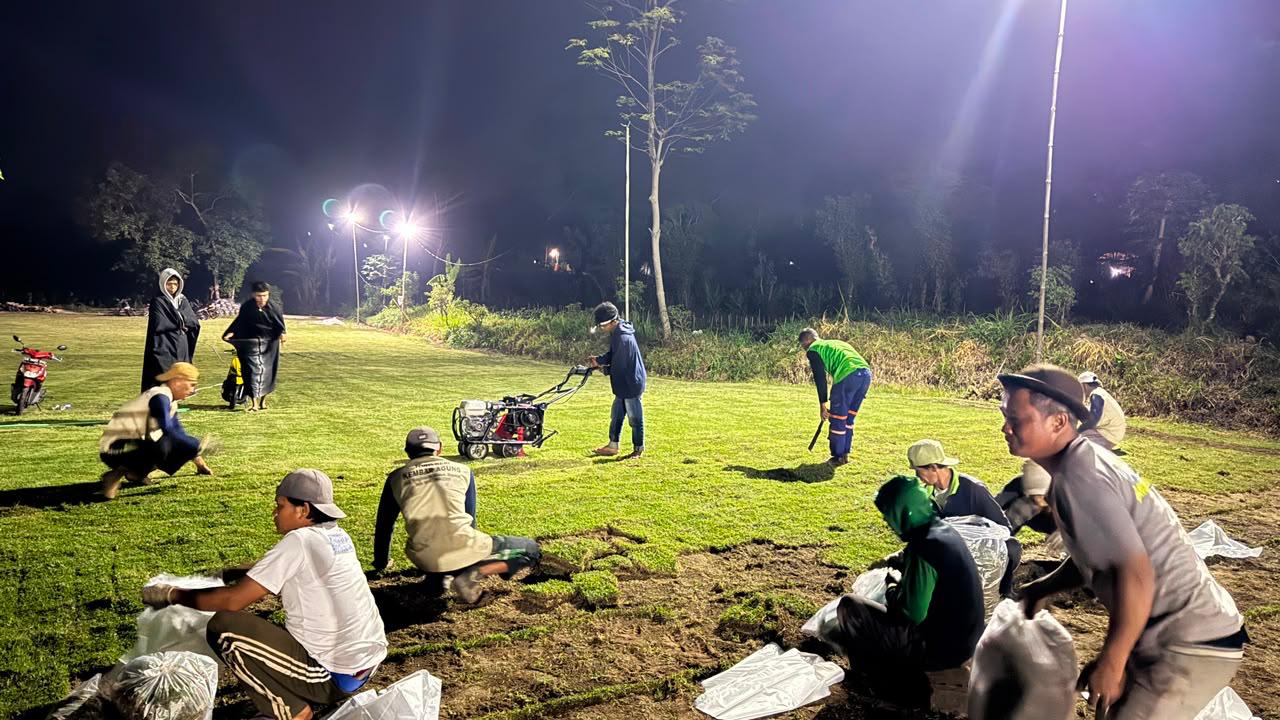 Pemanenan Rumput Nursery Mandiri
